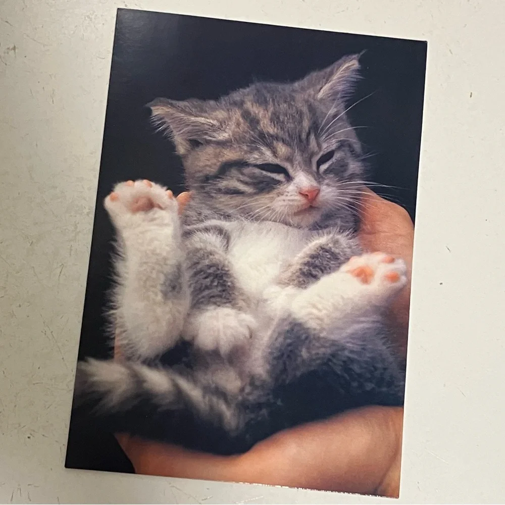 Kitten Cat Blank Hallmark Greeting Card Pet Love Lot of 6 w Envelopes